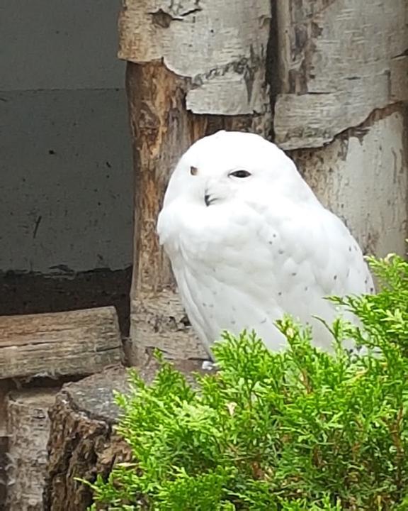 Gaststätte zu Tierpark