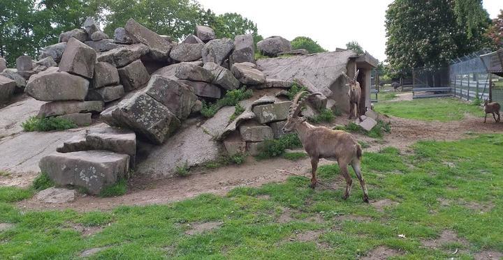 Gaststätte zu Tierpark