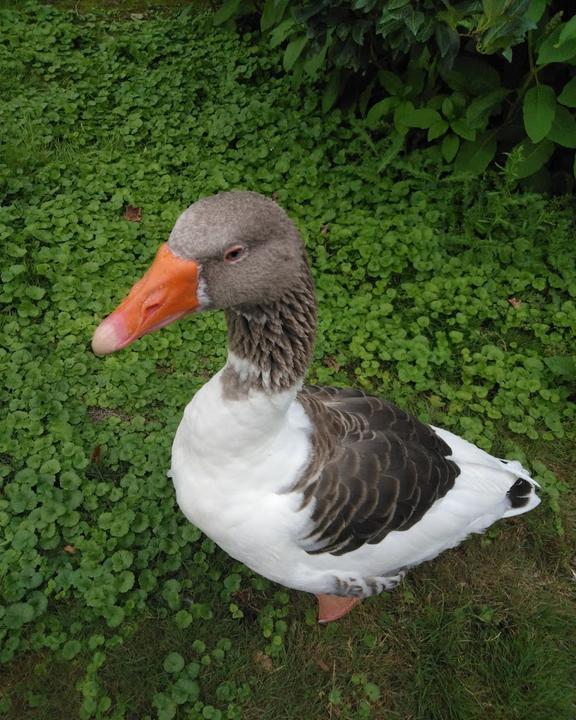 Gaststätte zu Tierpark