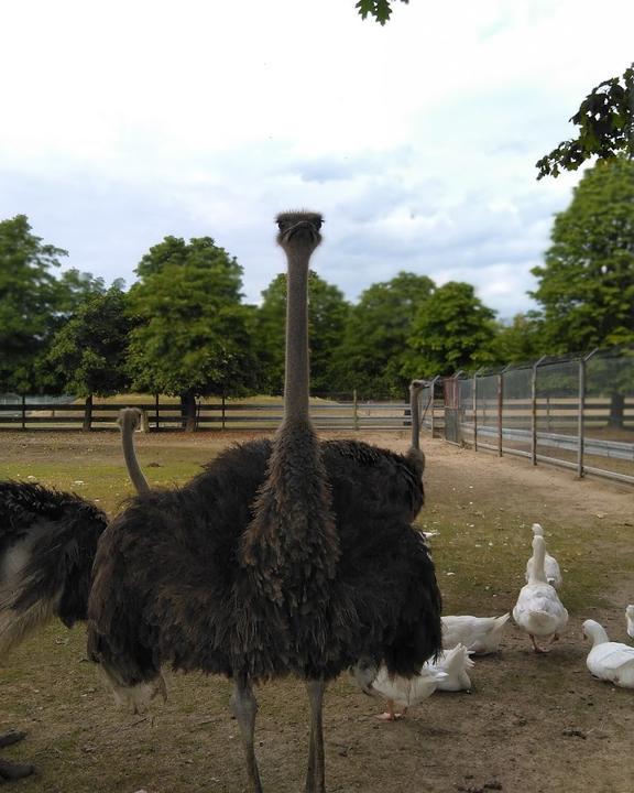 Gaststätte zu Tierpark